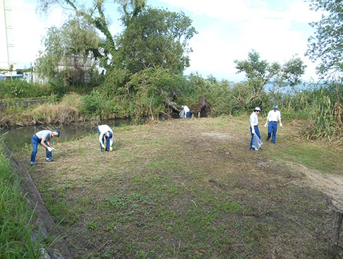 「大津市 琵琶湖市民清掃」活動の様子