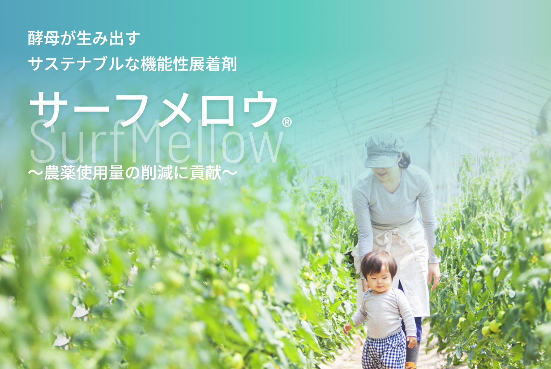 酵母が生み出すサステナブルな機能性展着剤