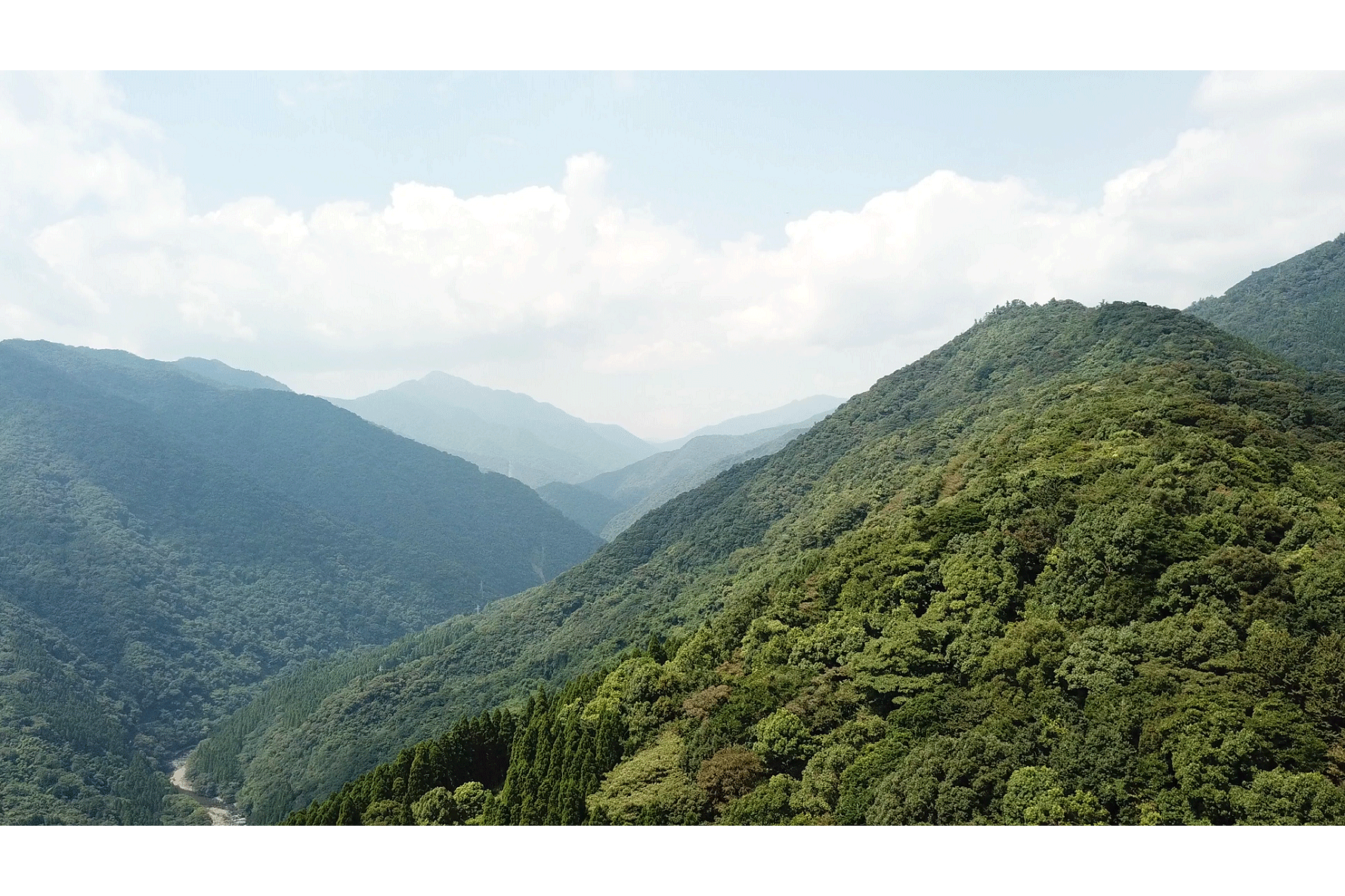 東洋紡 綾の森