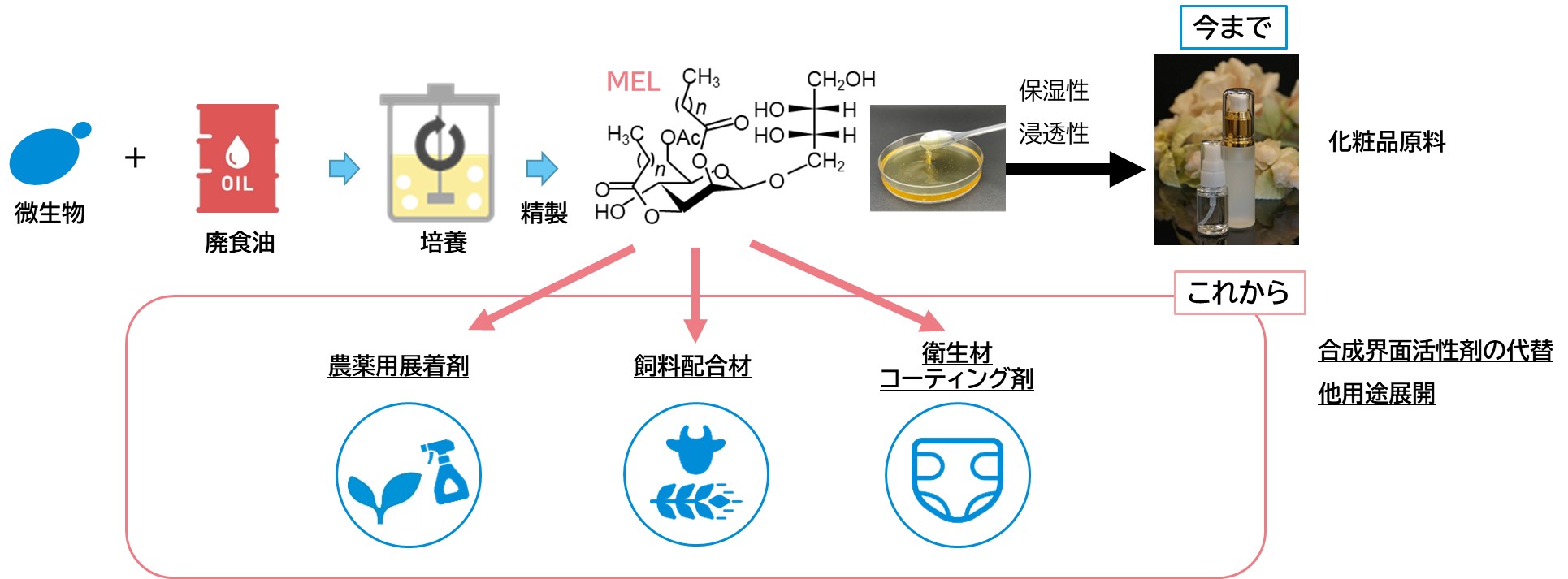 マンノシルエリスリトールリピッド(MEL)について