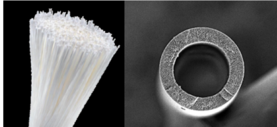 分離膜デバイスに充填される中空糸とその断面写真
